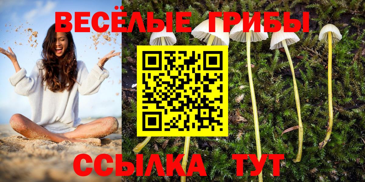 Псилоцибиновые грибы MAGIC MUSHROOMS Сергиев Посад